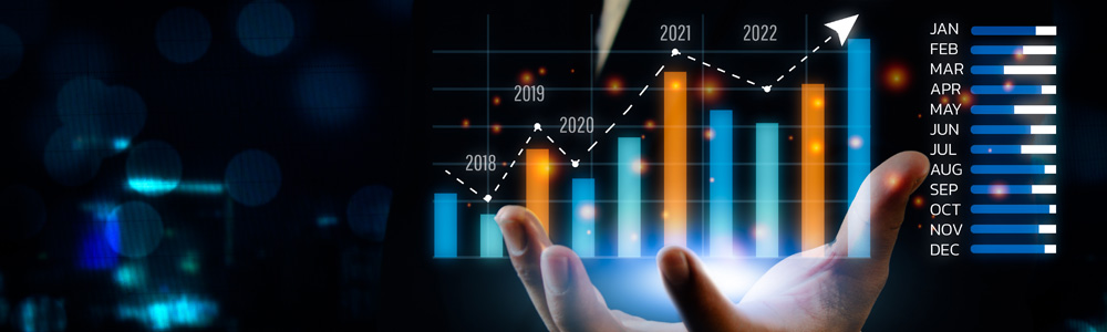 Licence en Sciences Economiques